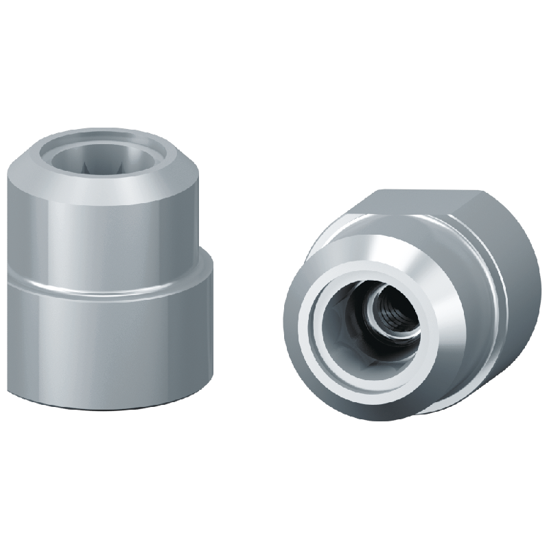 Analogue d'implant pour modèle imprimé 3D  - compatible Certain Ø 5