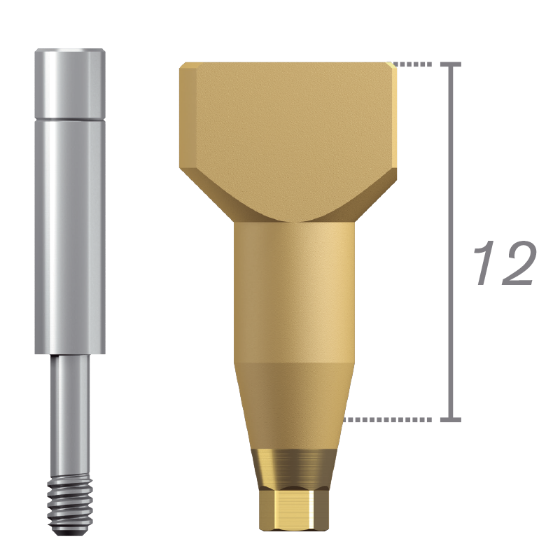 Scanbody + tornillo - Conexión interna Cierta®