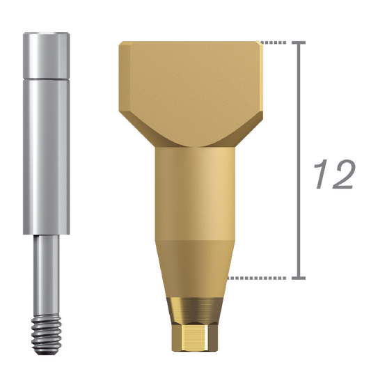 Scanbody + tornillo - Conexión interna Cierta®