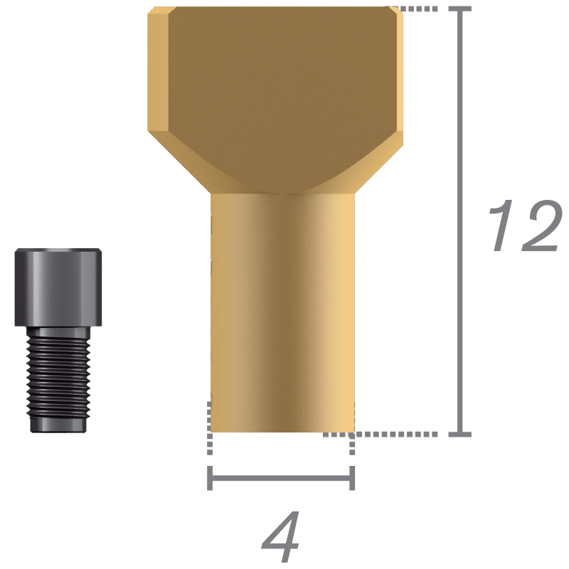 Scanbody su abutment Plural + viti