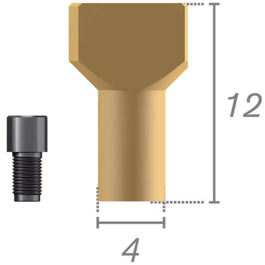 Scanbody su abutment Plural + viti