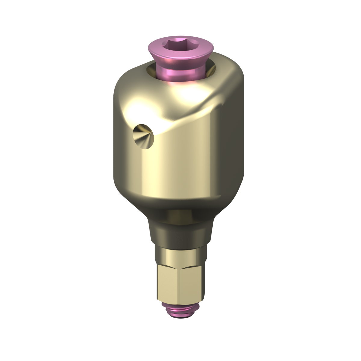 Moncone anatomico scansionabile + viti - gamma Bone Level Ø3