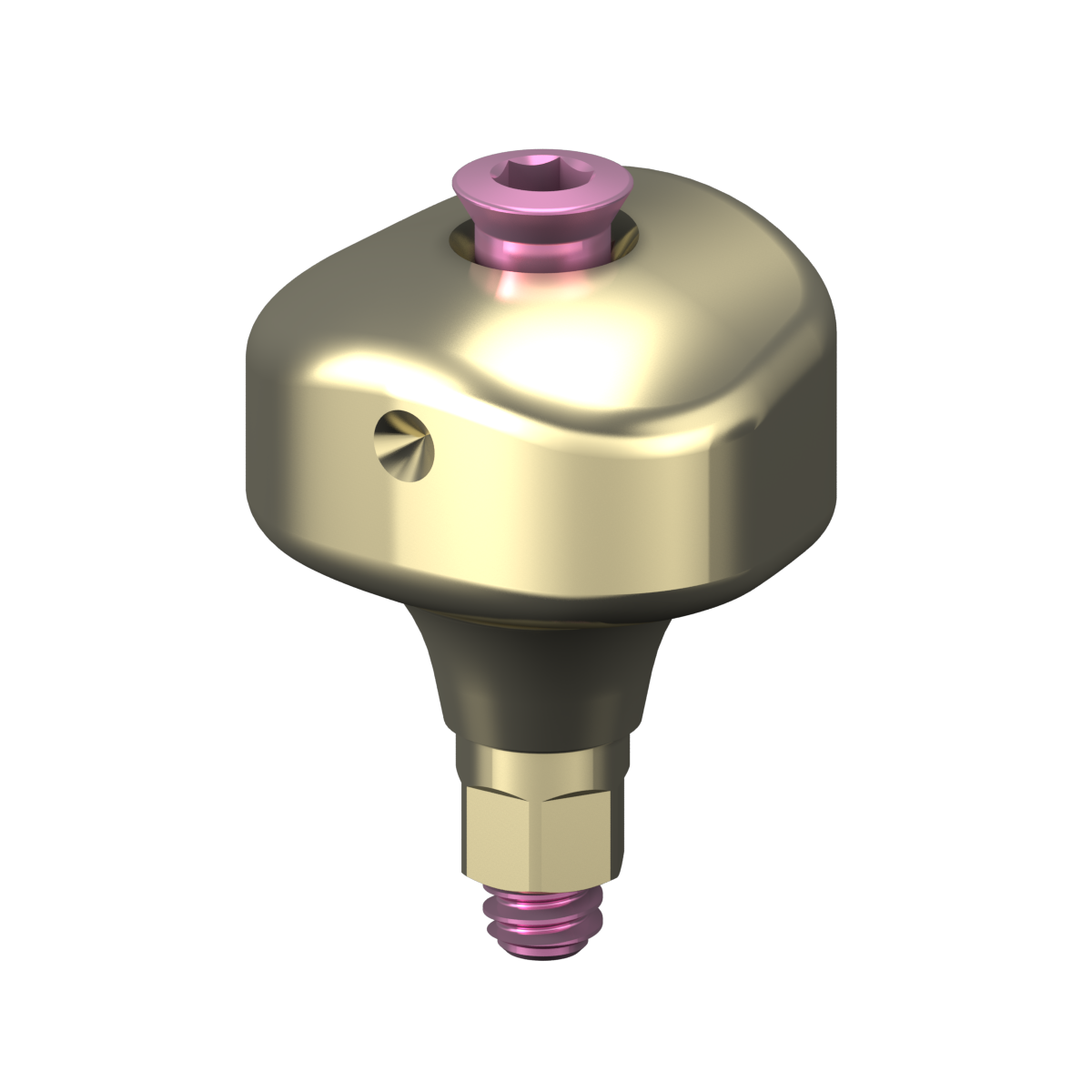 Moncone anatomico scansionabile + vite