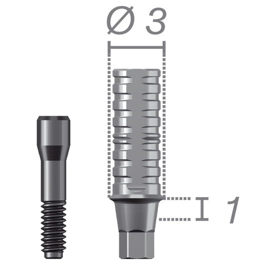 Pilar antirrotacional provisional + tornillo