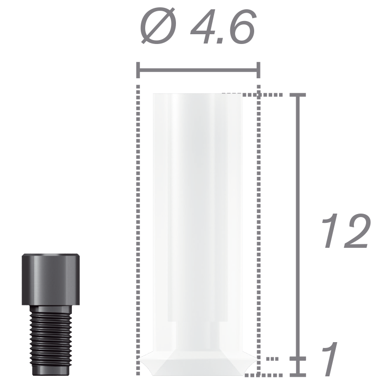 Cilindro calcinable rotacional + tornillo para pilar Plural