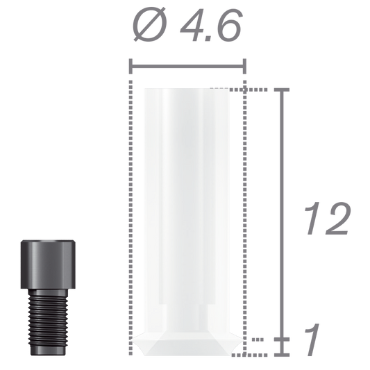 Cilindro calcinable rotacional + tornillo para pilar Plural